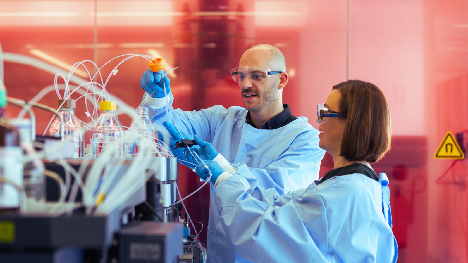Islet cell transplant research in the laboratory
